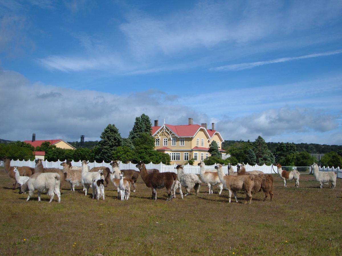 Estancia Rio Penitente Вилья-Теуэльче Экстерьер фото